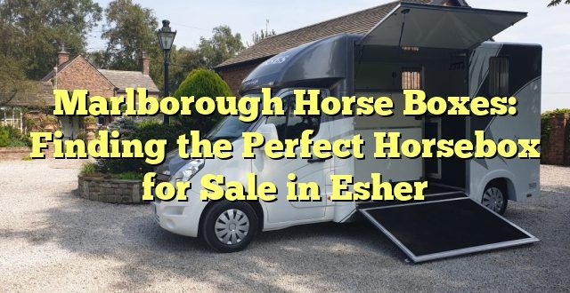 Marlborough Horse Boxes: Finding the Perfect Horsebox for Sale in Esher