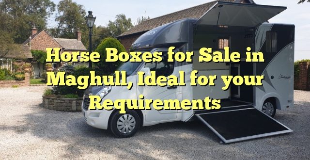 Horse Boxes for Sale in Maghull, Ideal for your Requirements
