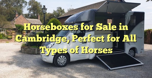 Horseboxes for Sale in Cambridge, Perfect for All Types of Horses